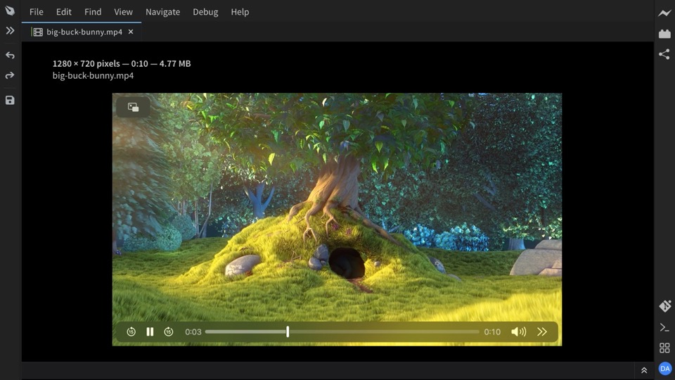 Video preview